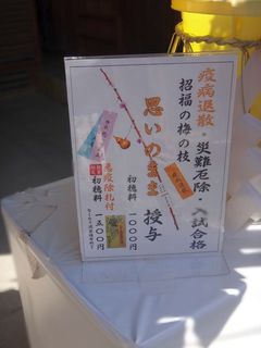 DSC09824.jpg