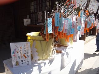 DSC09825.jpg