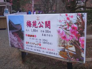 DSC09828.jpg