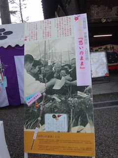 DSC09836.jpg