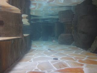 DSC09987.jpg