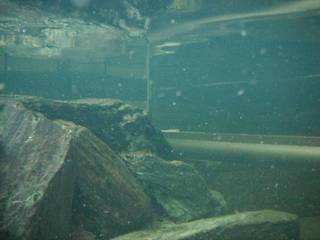 DSCF0046.jpg