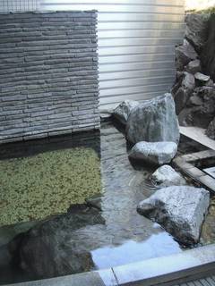 DSCF0053.jpg