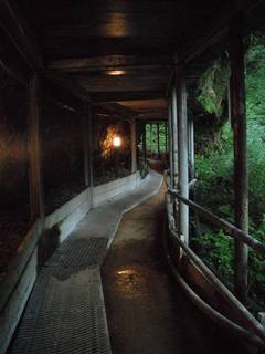 DSCF4126.jpg
