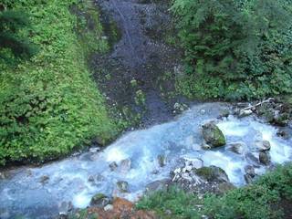 DSCF4175.jpg