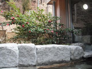 DSCF7029.jpg