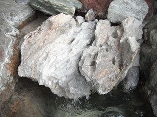 DSCF7159.jpg