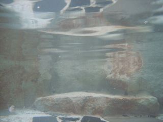 DSCF7215.jpg