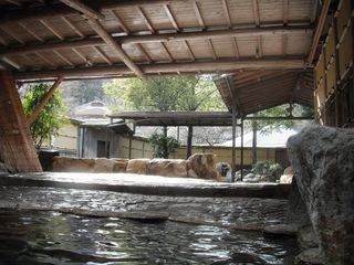 DSCF7254.jpg
