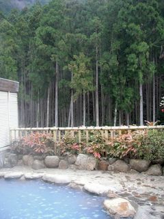 DSCF7371.jpg