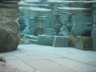 DSCF7376.jpg