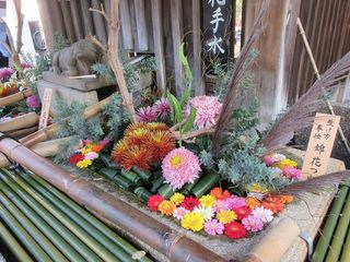 IMG_0039.jpg