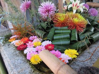 IMG_0041.jpg