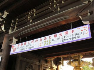IMG_0105.jpg
