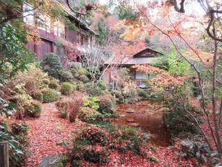 IMG_0236.jpg