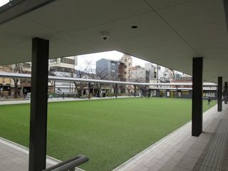 IMG_0242.jpg