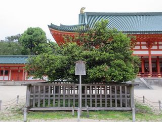IMG_0244.jpg