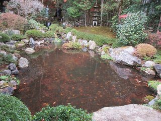 IMG_0245.jpg