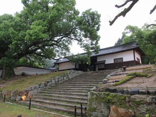 IMG_0251.jpg