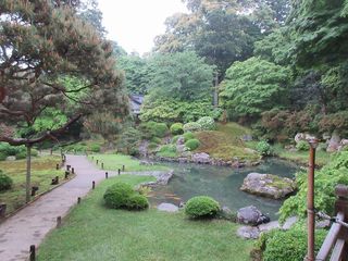 IMG_0253.jpg