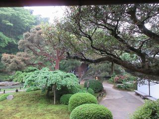 IMG_0258.jpg