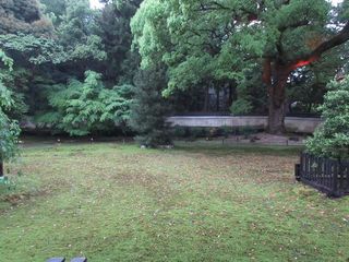 IMG_0260.jpg