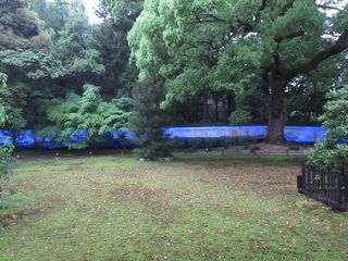IMG_0263.jpg
