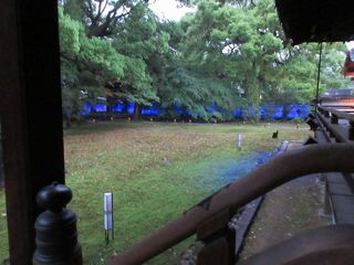 IMG_0264.jpg