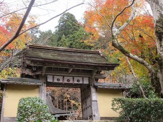 IMG_0272.jpg