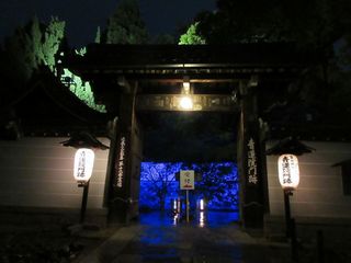 IMG_0304.jpg