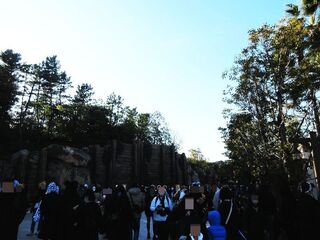 IMG_0645.jpg