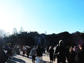 IMG_0646.jpg