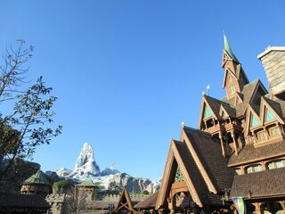 IMG_0682.jpg