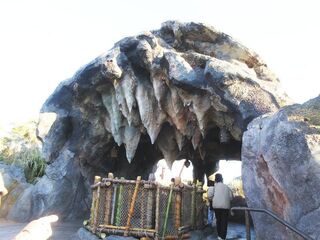 IMG_0694.jpg