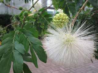 IMG_0751.jpg