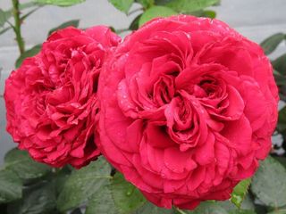 IMG_0755.jpg