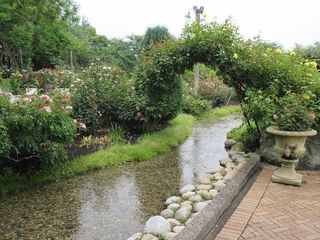 IMG_0758.jpg