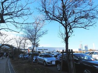 IMG_0842.jpg