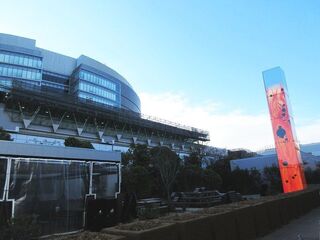IMG_0846.jpg