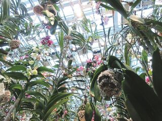 IMG_0861.jpg