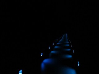 IMG_0899.jpg