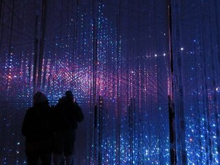 IMG_0915.jpg
