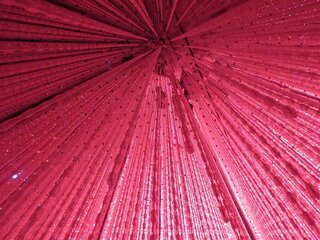 IMG_0919.jpg