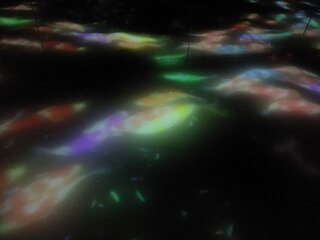 IMG_104355.jpg