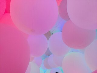 IMG_105111.jpg