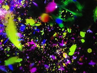 IMG_105305.jpg