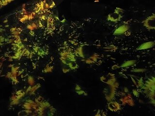 IMG_105955.jpg