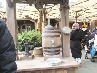 IMG_1061.jpg