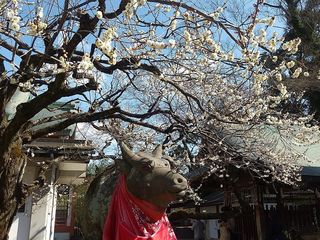 IMG_131411.jpg
