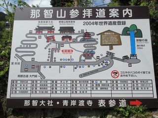 IMG_1446.jpg